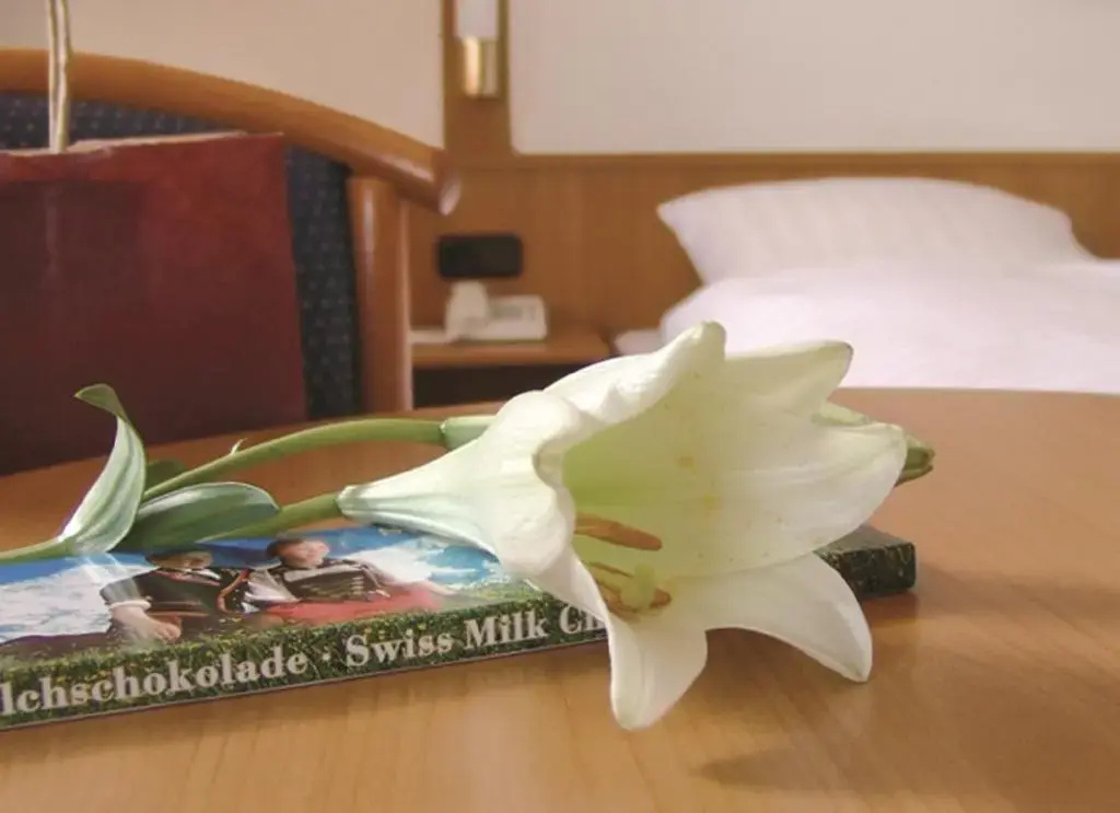 Seligweiler Hotel & Restaurants - Chambres
