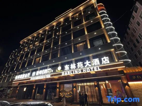Darling Hotel in Yanan