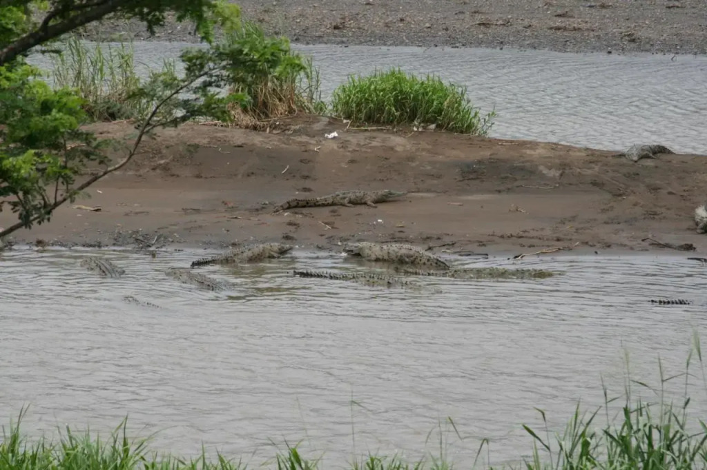 Sol Pacifico Lodge - фото 20