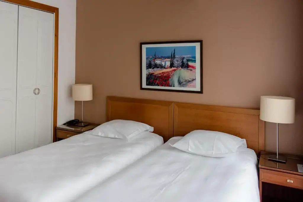 Standard Double room (twin beds)