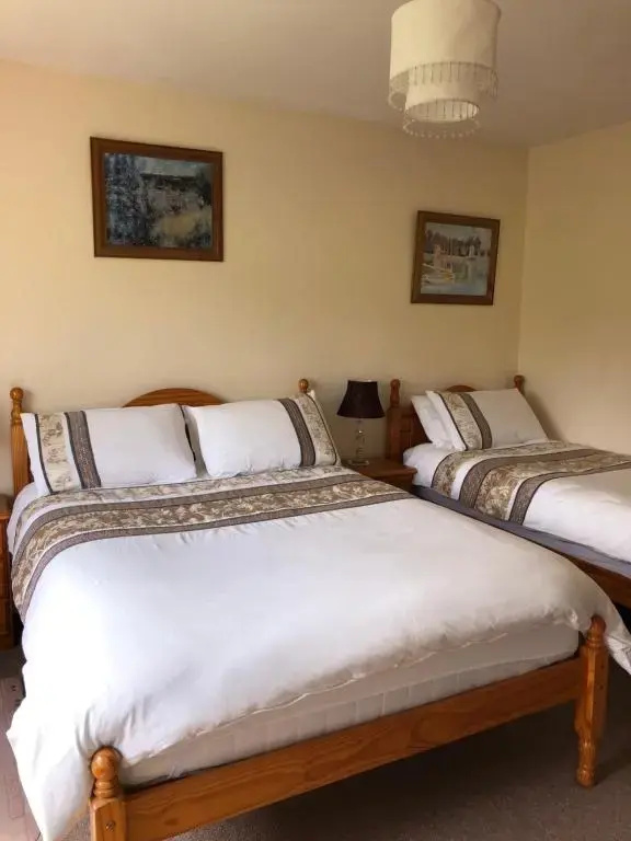 Standard Double room with garden view (full double bed)