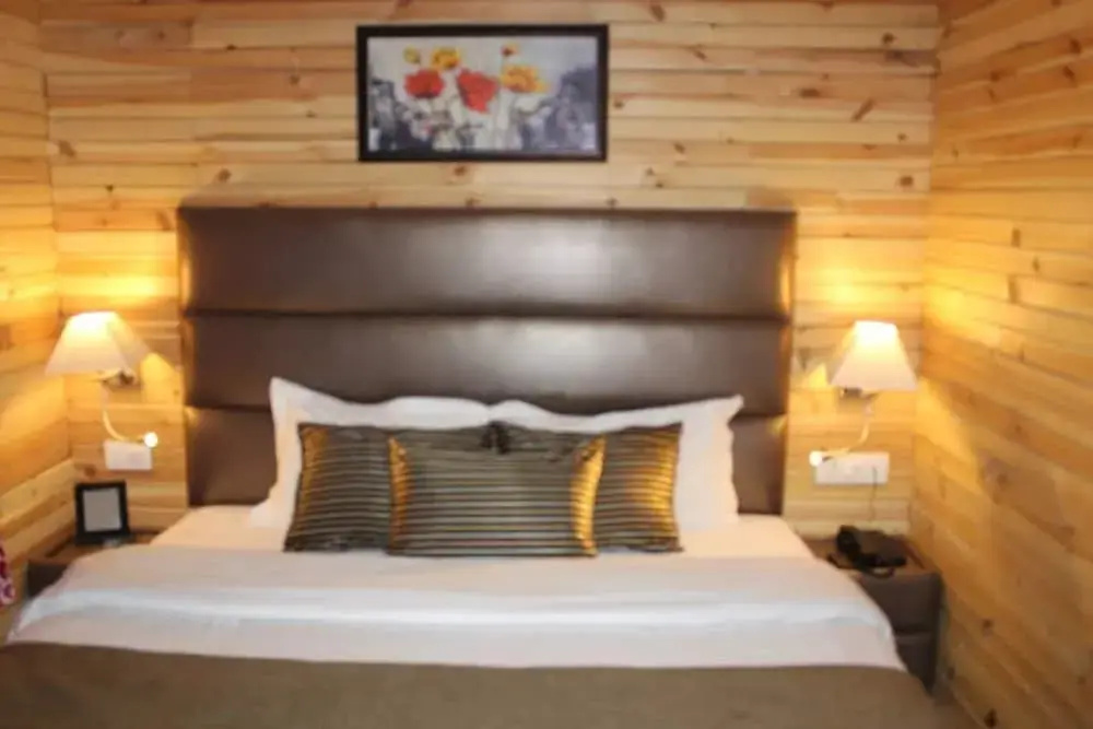 Krystal Hotel - Général