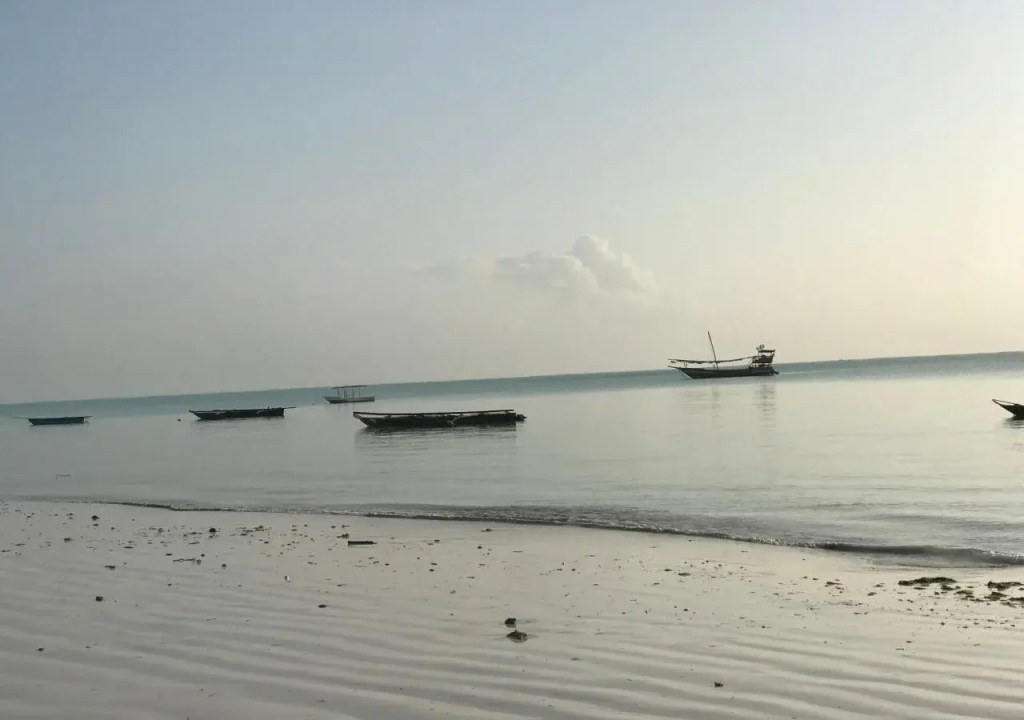 Beach & Waterfront
