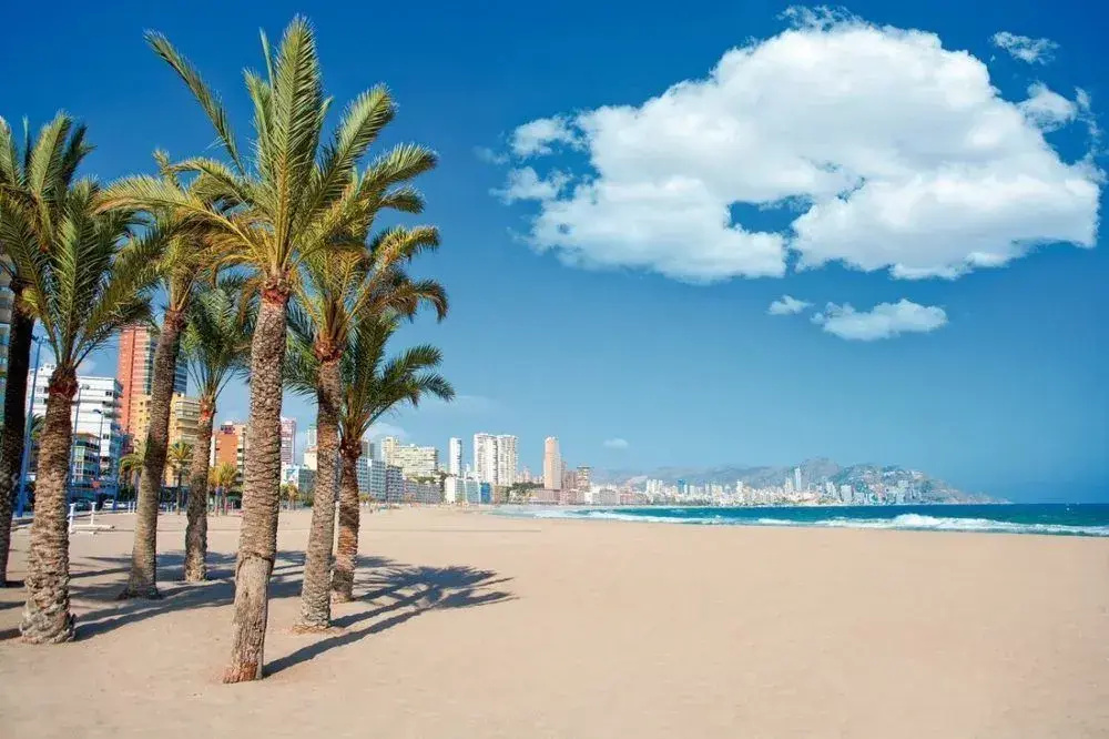 Beach & Waterfront