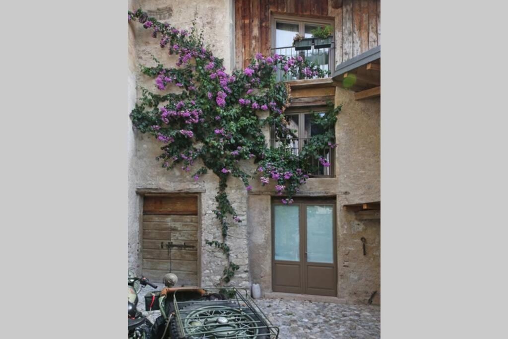 Mimosa - terrazzo vista lago