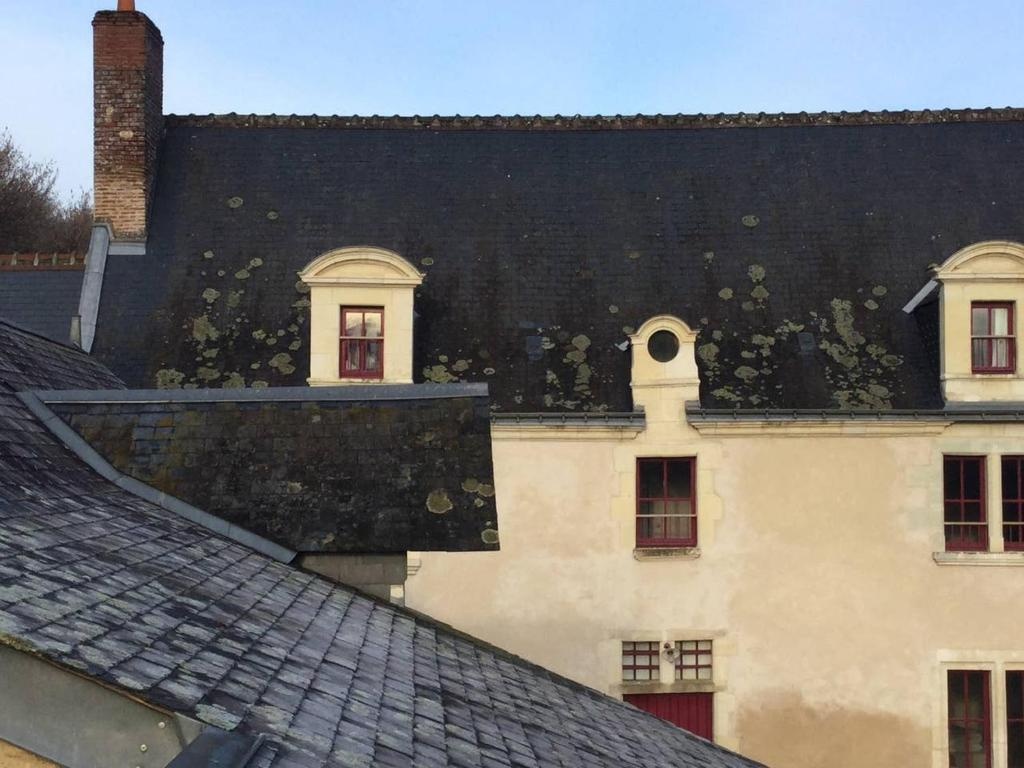 Manoir - Gîte avec Spa pour 10 p.
