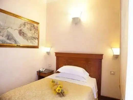 Classic Single room