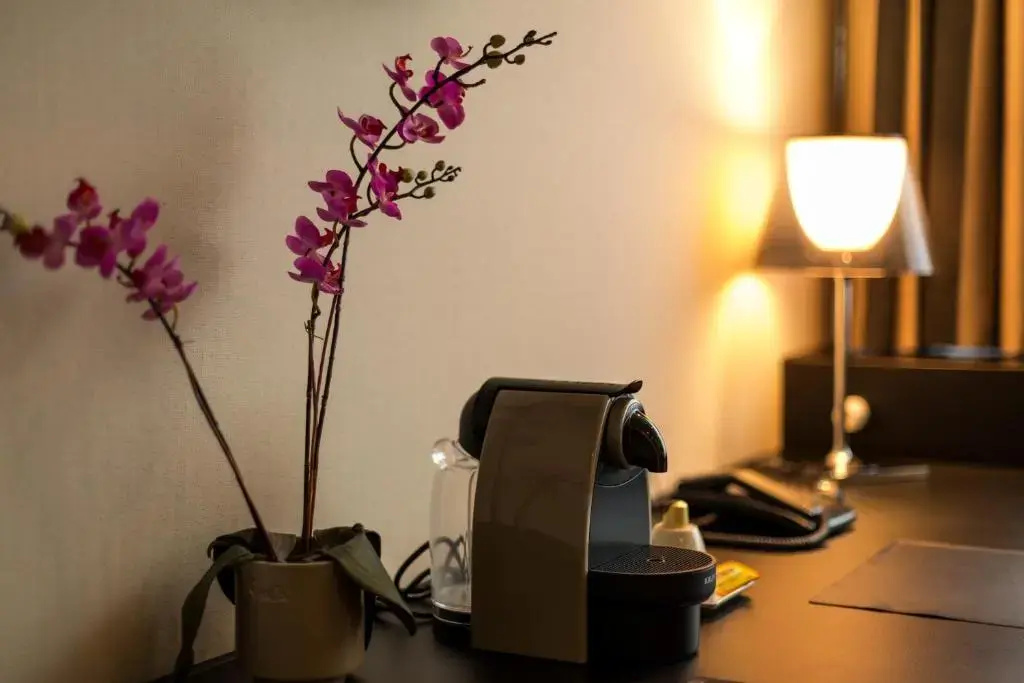 Hotel Royal - Chambres