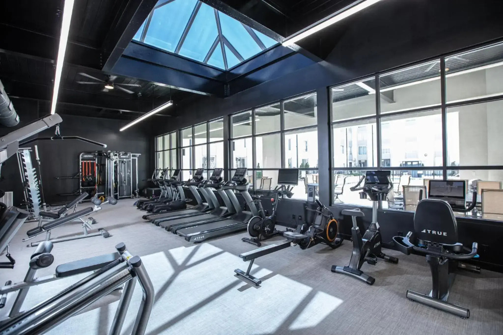 Holiday Inn St Louis SW - Route 66 by IHG - фото 27