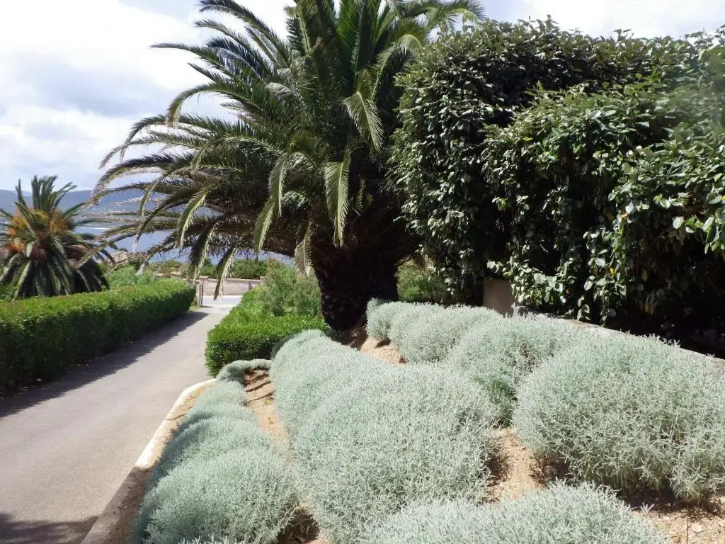 Marina di Fiori - Chambres