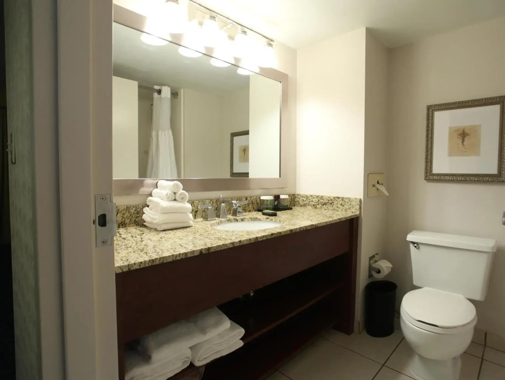 Embassy Suites by Hilton Cincinnati RiverCenter - Chambres
