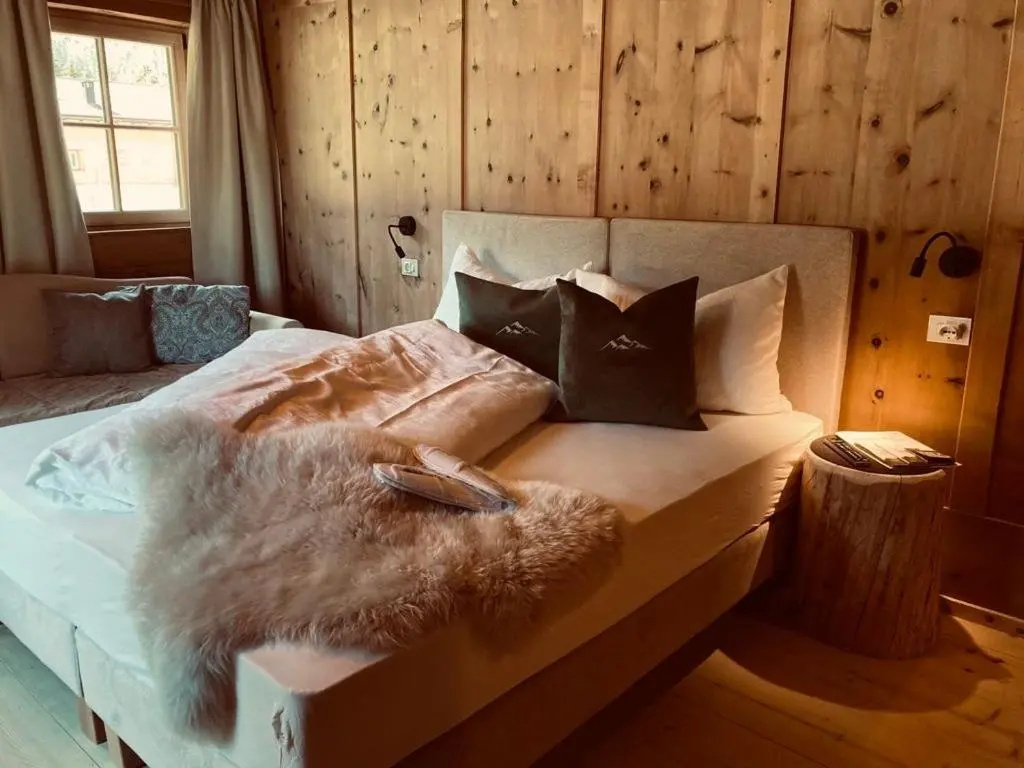 Standard Double room with mountain view (full double bed)