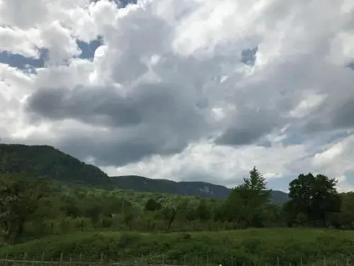 Teremok Guest House - фото 7