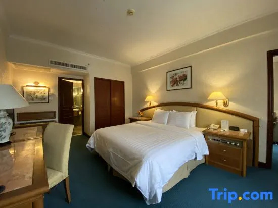 Executive Double Suite (full double bed)