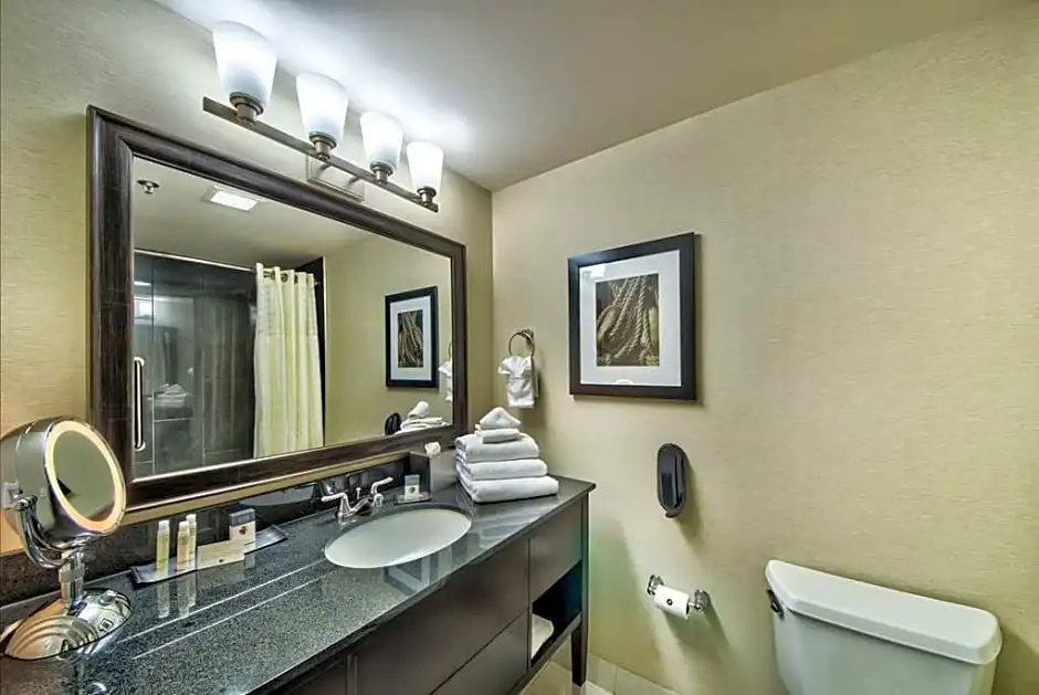 DoubleTree by Hilton Hotel Port Huron - Chambres