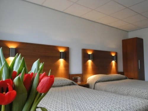 Tulip Inn Franeker - Général