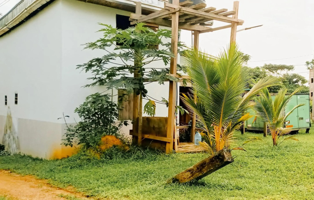 Villa Ebomé 1200m2 de jardin