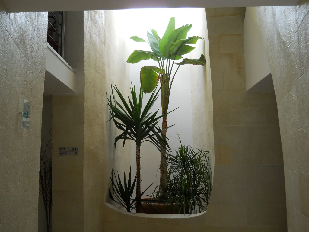 Dimora San Giuseppe Hotel & SPA**** - Général