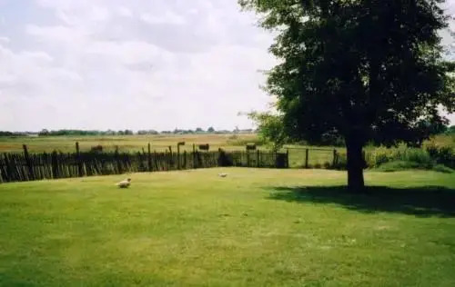 Eperfas Tanya - фото 3