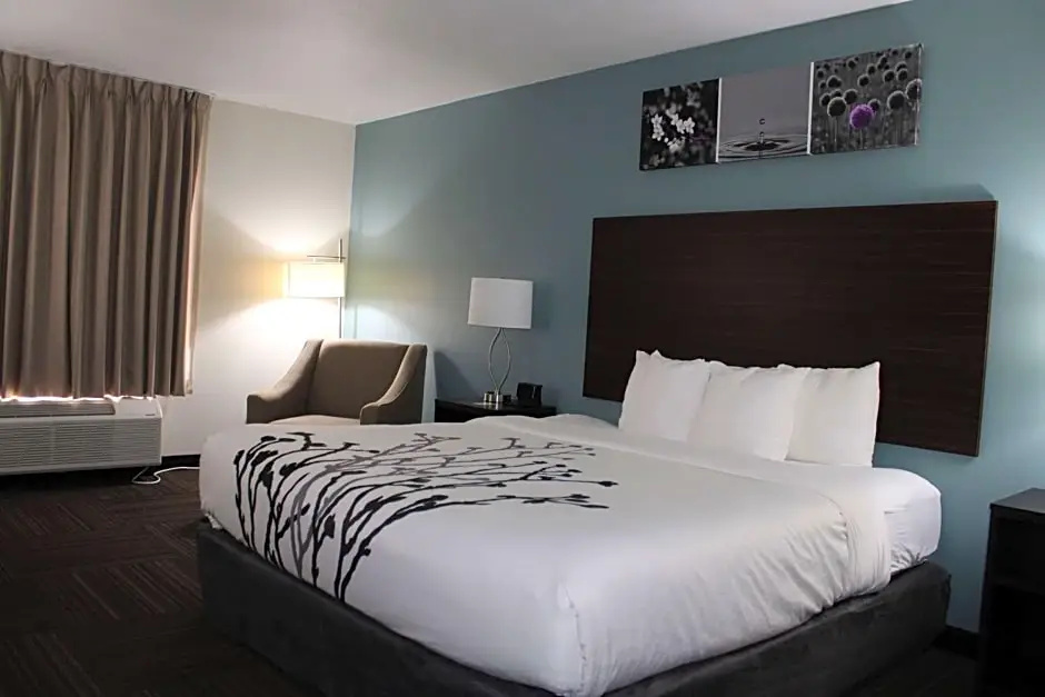 Wingate by Wyndham Kings Bay Naval Base / I-95 - Chambres