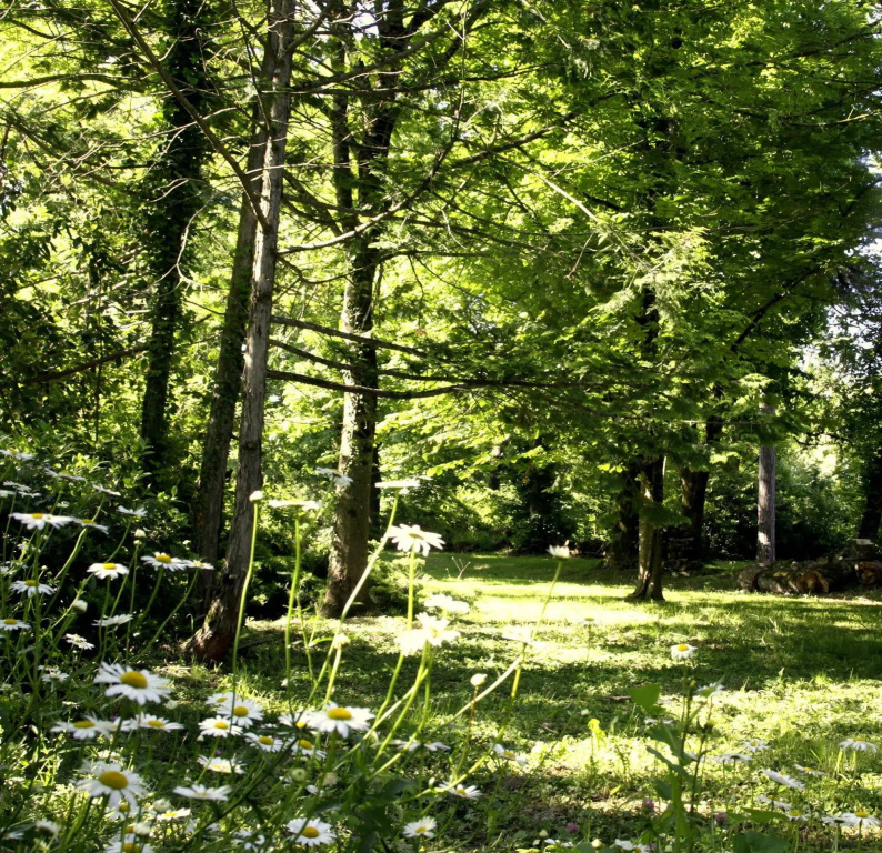 Domaine de Rasigous - Général