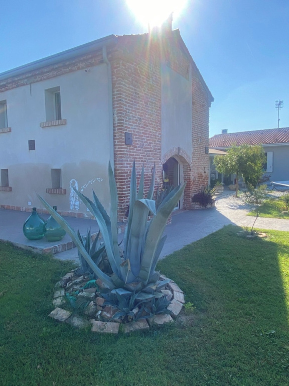 Hotel photo 33