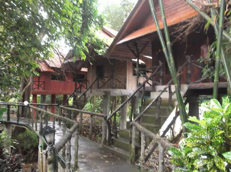 Balcony & Terrace