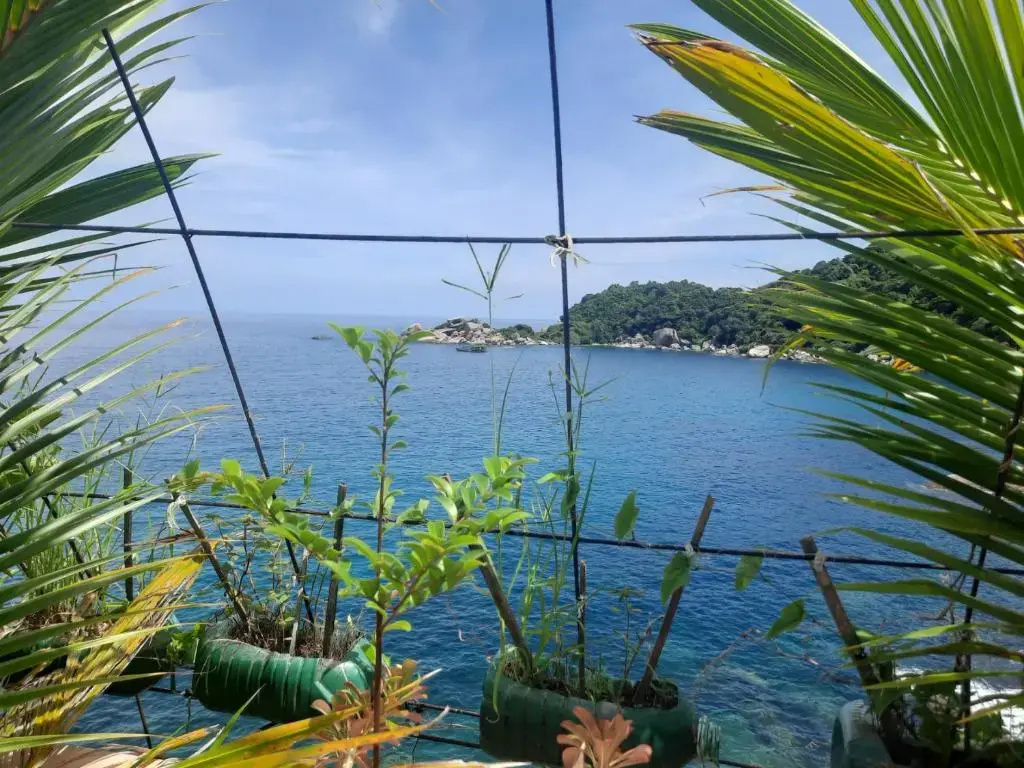 Студия Superior с видом на море в Hinwong Apartments Dive and Snorkel Resort