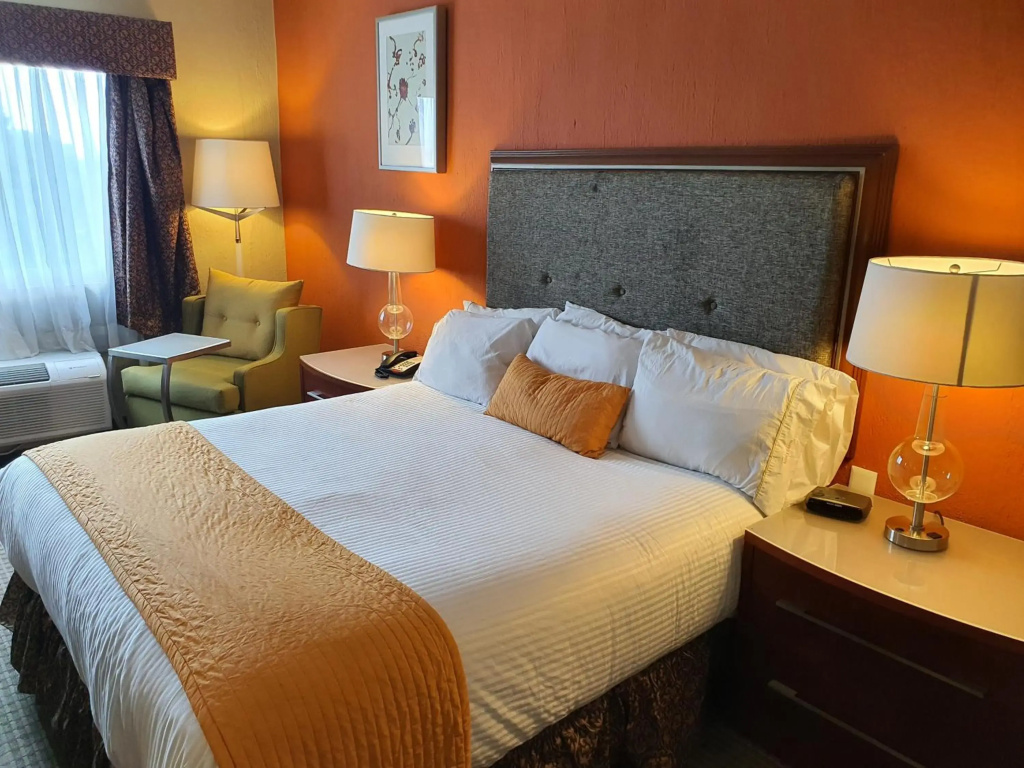 Hotel San Francisco Leon - Général