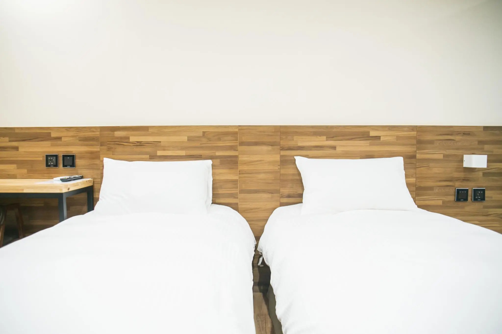 Standard Double room (twin beds)