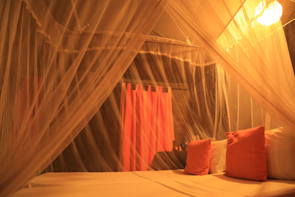 Mahoora Tented Safari Camp - Yala