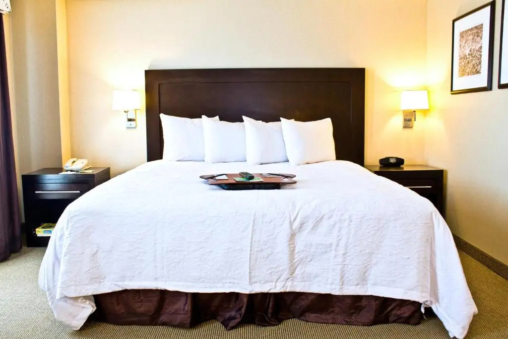Hampton Inn & Suites Boston Crosstown Center - Chambres