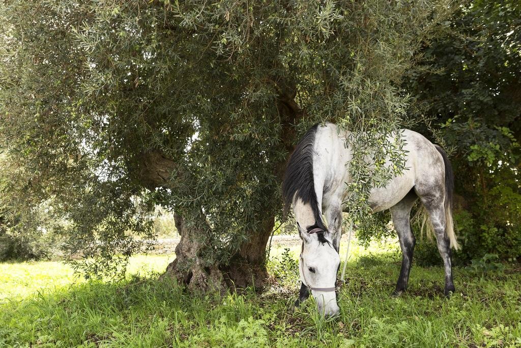 gallery_image_hidden_77