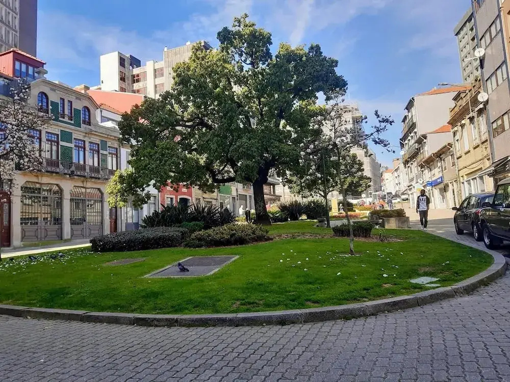 Apartment with city view