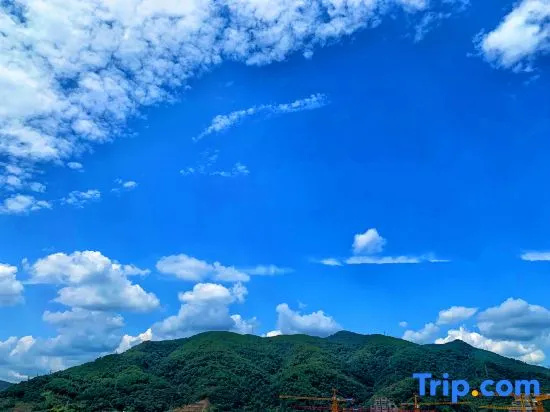 Huangting Lijing Hotel - Chambres