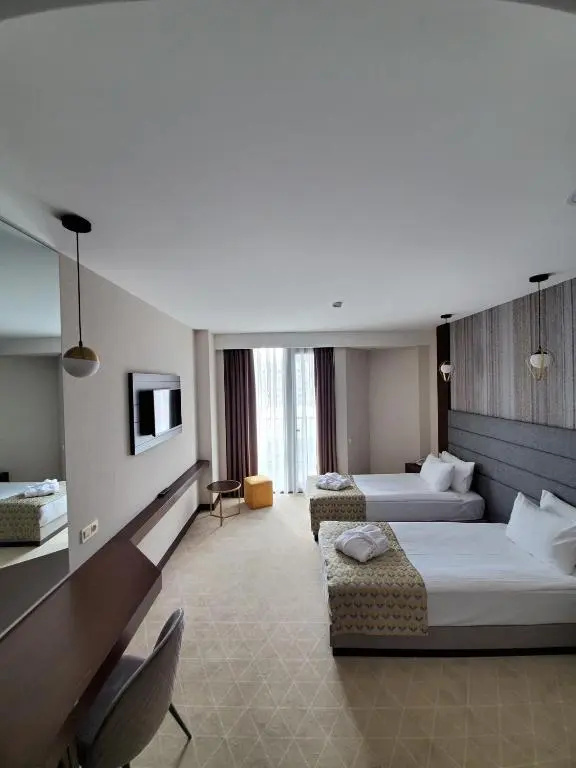 Superior Double room (twin beds)