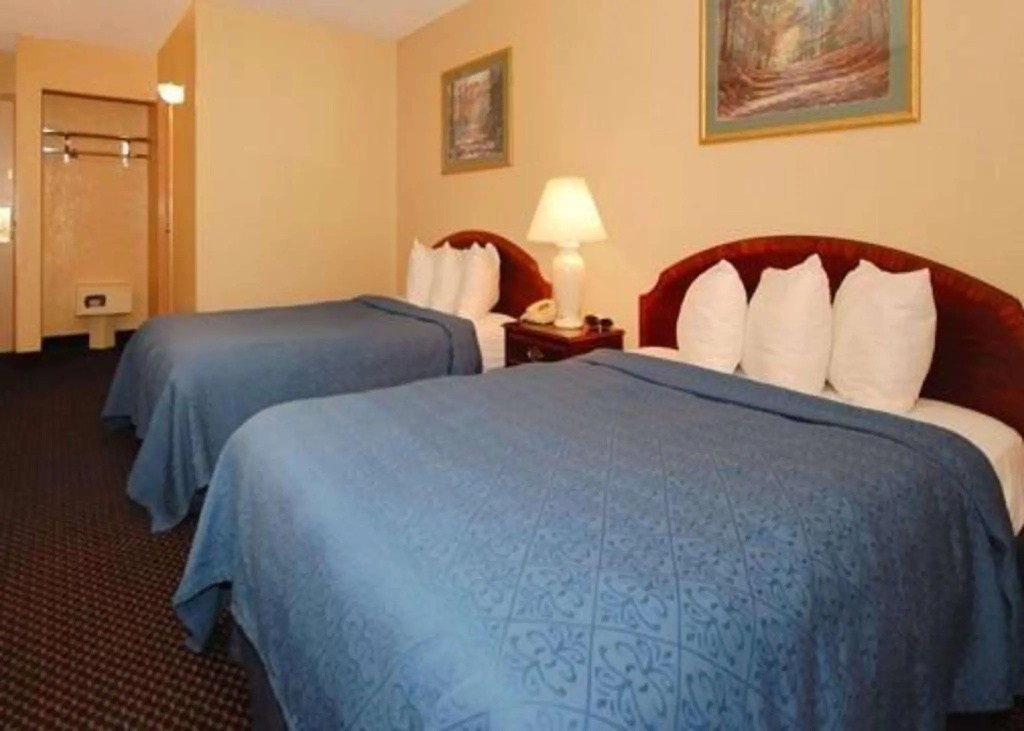 Quadruple Suite