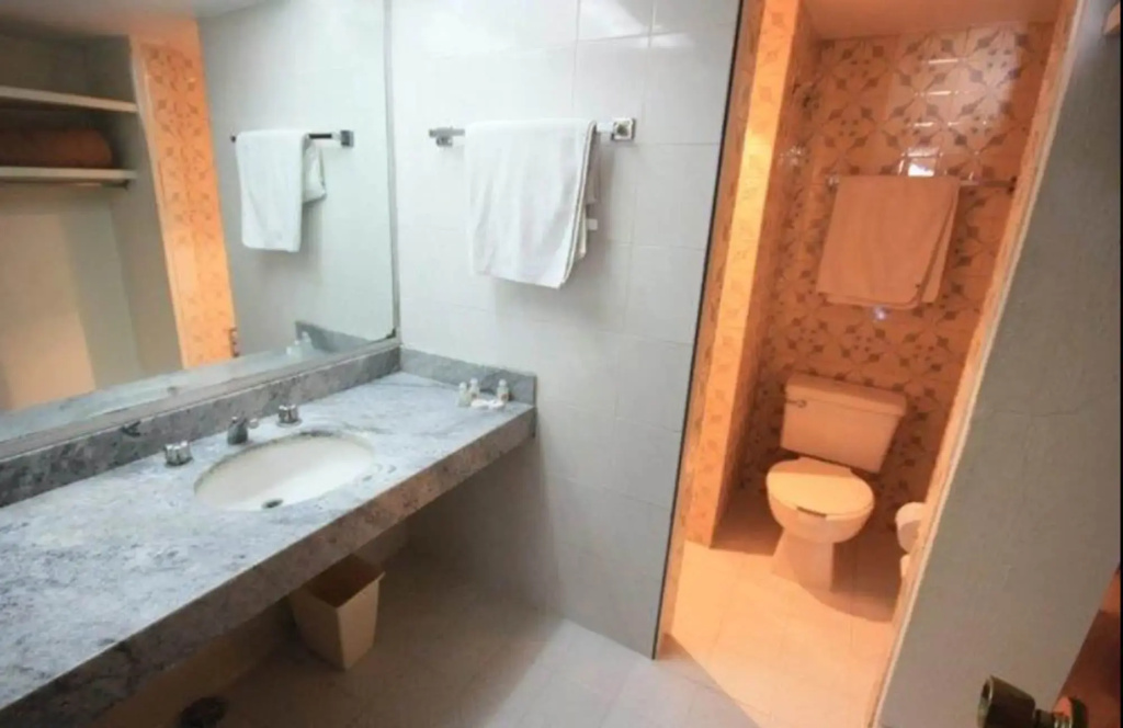 Hotel Universo Guadalajara - Général