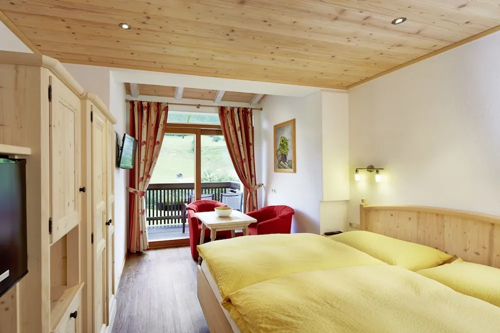 1 Bedroom Standard Double room with mountain view (full double bed)