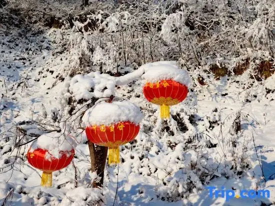 Floral Hotel · Qixi Hotel (Xuegu Scenic Area Branch)
