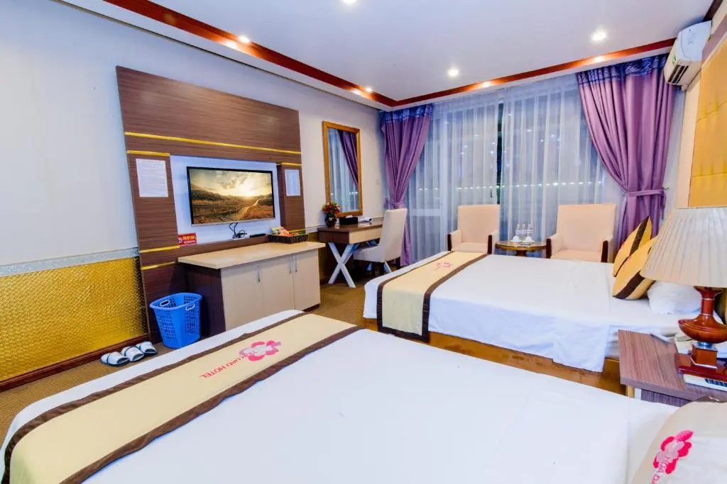 Hoa Dao Hotel - Chambres