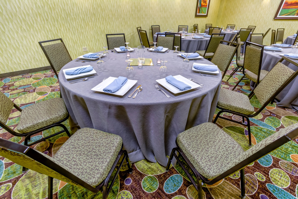 Holiday Inn Indianapolis Carmel by IHG - Général
