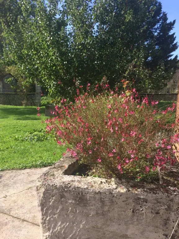 Voir la photo 2 — Gîte Rouge Calme et Nature