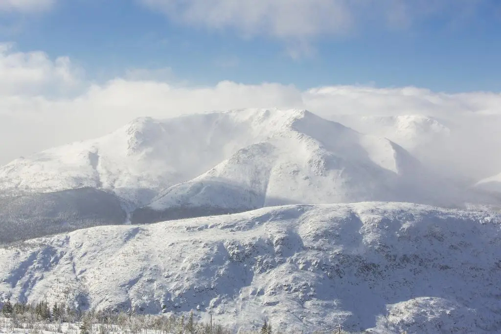 Gite Du Mont Albert - Chalet 2 Pax - фото 9