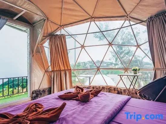 Tent with mountain view