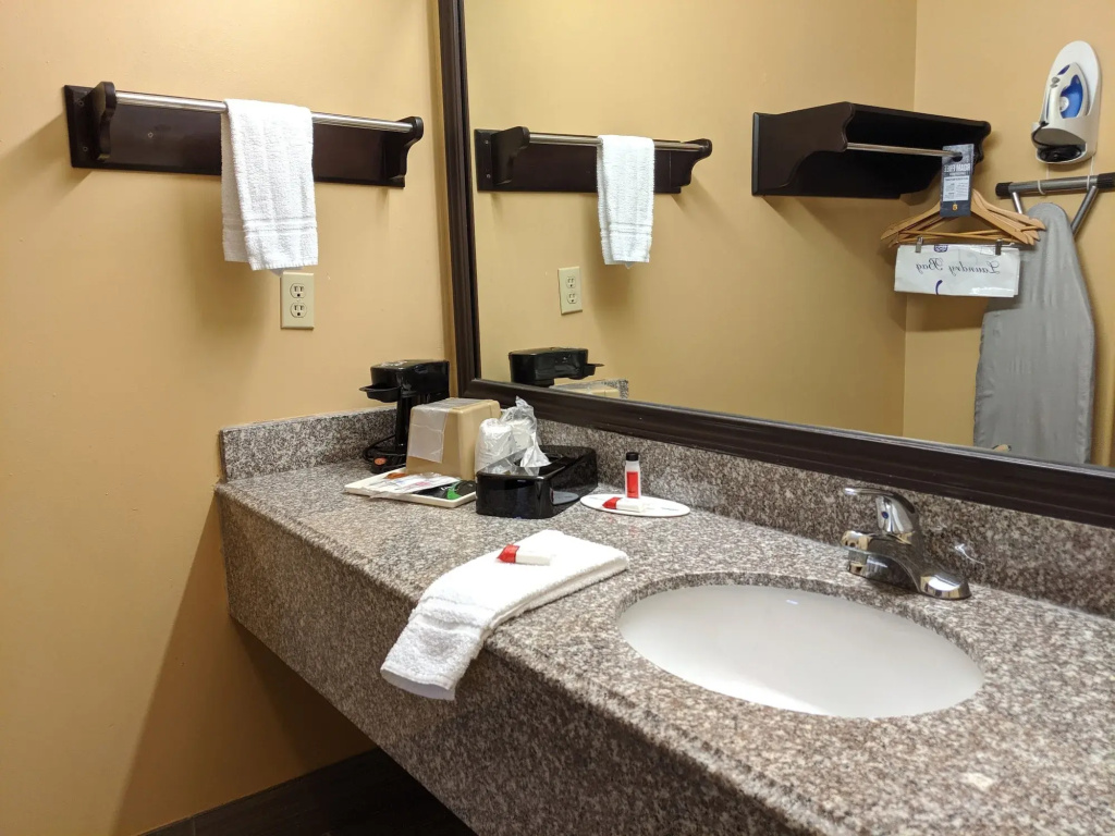 Platinum Inn & Suites Willowbrook Houston - Général
