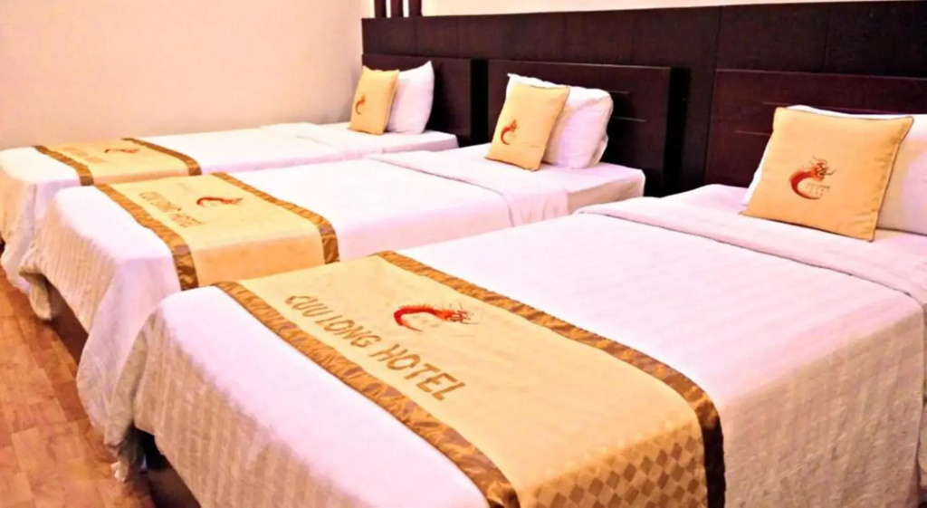 Cuu Long Hotel - Général