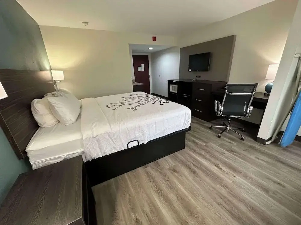 Business Double Suite (full double bed)