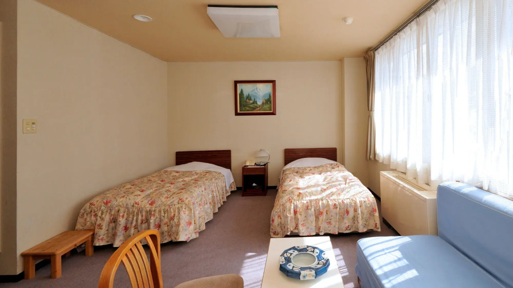 Standard Double room with mountain view (twin beds)