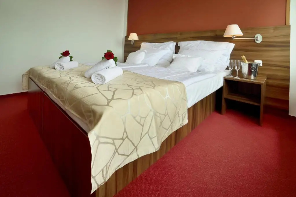 Hotel Palcát Congress & Wellness Hotel - Chambres